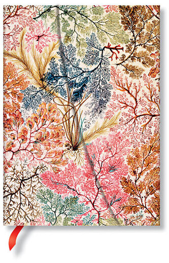 Notes William Kilburn, Anemone Midi w linię, Paperblanks