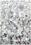 Karton cekinowy Srebrny 5 ark. A4 210 g/m2, Galeria Papieru
