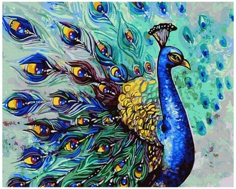 Numermoalowanie Classic 40x50 Przystojny paw, iPicasso