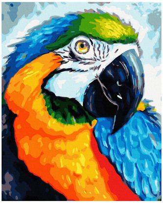 Numermoalowanie Classic 40x50  Tęczowa papuga,PC4050852, iPicasso