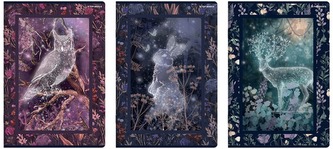 Zeszyt A4 60 k. kratka 70g Fairytale, Top-2000