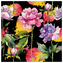 Serwetki 33x33cm Nora Flower black 20szt. SDL145400, Paw