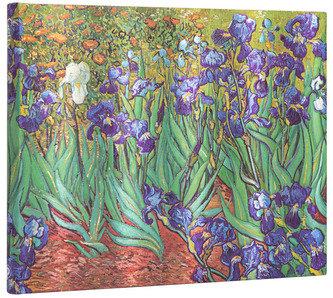 Księga gości Van Gogh`s Irises 144-str. gładkie, Paperblanks