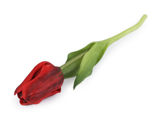 Umělý tulipán - 1 ks - 5 červená