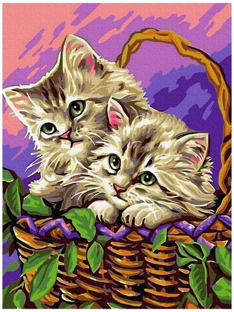 Numeromalowanie Classic 30x40 Kociaki w koszyku, iPicasso