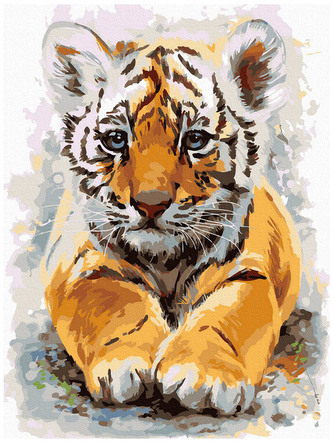 Numeromalowanie Classic 30x40 Słodkie tygrysiątko, iPicasso