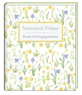 Narzissus & Tulipan