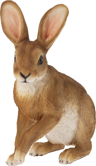 Zajíc sedící velký