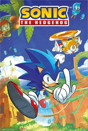 Plakát, Obraz - Sonic the Hedgegog - Sonic & Tails, 61 × 91.5 cm