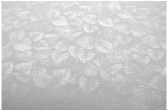 Karton ozdobny Liście szary 250g 20ark. A4, Galeria Papieru