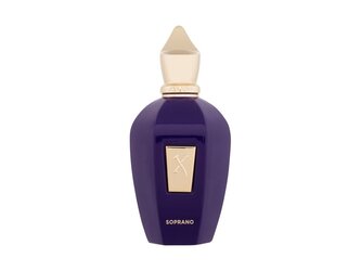 Xerjoff V Collection Parfémovaná voda Soprano 100 ml unisex