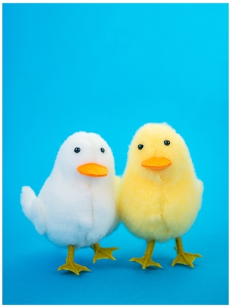 Kaczki 8,5 cm, op.2szt.WKZ-30, Aliga