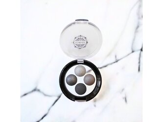 QUATTRO Paletka Oční Stíny - Black Swan 17