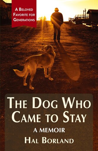 The Dog Who Came to Stay
