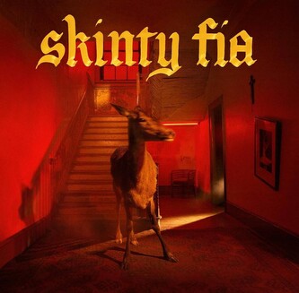 Fontaines D.C.:  Skinty Fia: