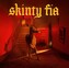 Fontaines D.C.:  Skinty Fia: