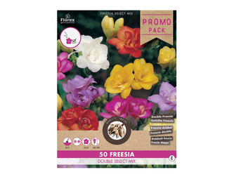 Směs PROMO Fresie plnokvětá DOUBLE 50ks