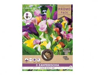 Směs PROMO Kaly 3ks