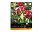 Lilie, orientální hybridy SCARLET DELIGHT 2ks