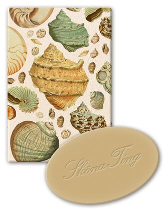 Dárkové mýdlo Seashells 25 g