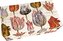 Dárkové mýdlo Tulips 200 g