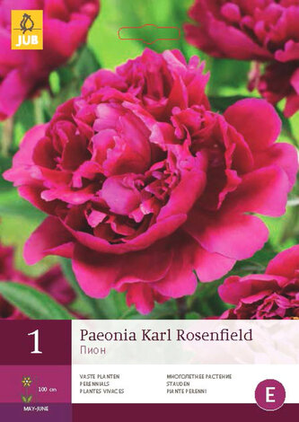 Karta - Pivoňka KARL ROSENFIELD (1 cibule) "D"