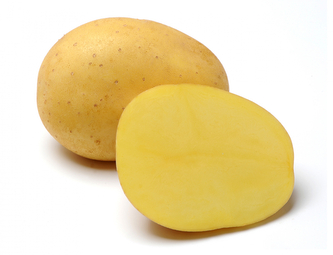 Brambory BELANA sadbové žluté rané 5kg