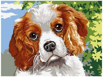 Numermoalowanie Classic 30x40 Słodki spanielek, iPicasso