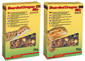 Lucky Reptile Bearded Dragon Mix Juvenile 35g Lucky Reptile Bearded Dragon Mix Juvenile 35g
