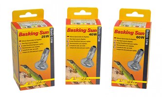 Lucky Reptile Basking Sun 60W Lucky Reptile Basking Sun 60W