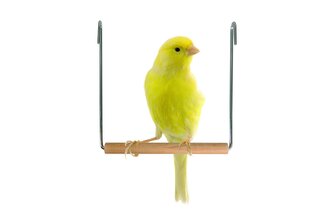 Karlie Trapézová houpačka pro ptáky 13cm