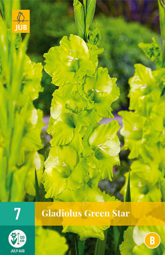 Karta - Mečík GREEN STAR (7 cibulí) "B"