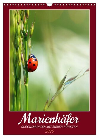 Marienkäfer, Glücksbringer mit sieben Punkten (Wandkalender 2025 DIN A3 hoch), CALVENDO Monatskalender
