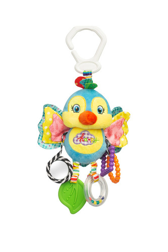 COLORFUL GRZECHOTKA PODRÓŻNA PTASZEK