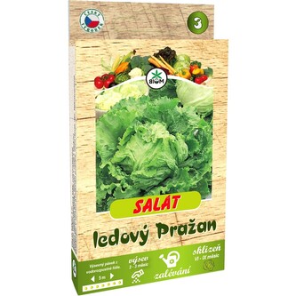 Pásek Salát ledový KAMELOT 5 m