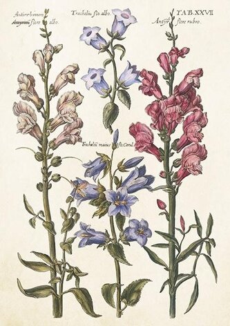 Karnet ST512 B6 + koperta Niebieskie kwiaty