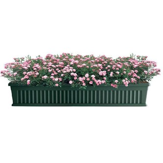 BAMA Truhlík IRIS 40 cm, zelená