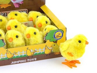 Kurczak nakręcany (12szt)