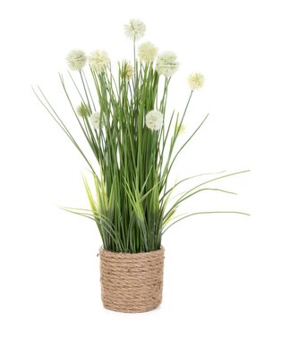 Umělá rostlina BLOMI | dekorace | 50 cm | 875972