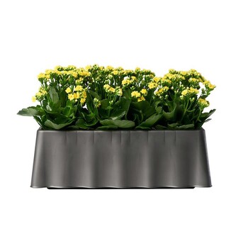 BAMA Samozavlažovací truhlík BREZZA, antracit