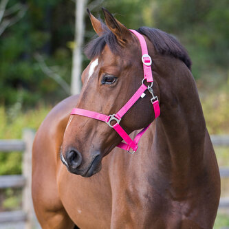 Horze Základní klasická ohlávka pro koně Růžová Pony