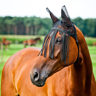 Horze Třásně proti hmyzu ze síťoviny Černá Pony