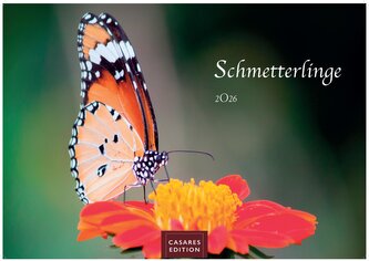 Schmetterlinge 2026 L 35x50cm