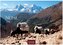 Nepal 2026 S 24x35cm