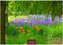 Blumenwiese 2026 L 35x50cm