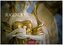 Jugendstil 2026 L 35x50cm