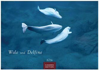 Wale und Delfine 2026 S 24x35cm
