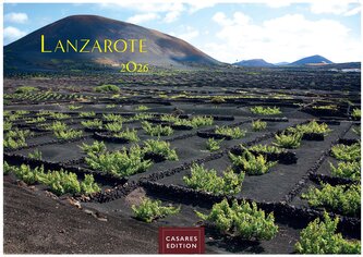 Lanzarote 2026 L 35x50cm