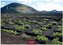 Lanzarote 2026 L 35x50cm
