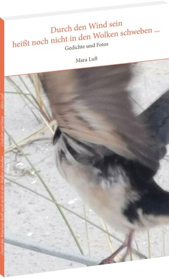 Durch den Wind sein heißt noch nicht in den Wolken schweben ...